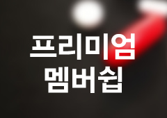 ̹